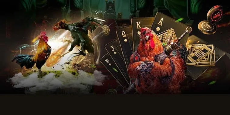 Hướng Dẫn Chơi Đá Gà 3D Tại 123WIN Hấp Dẫn Nhất