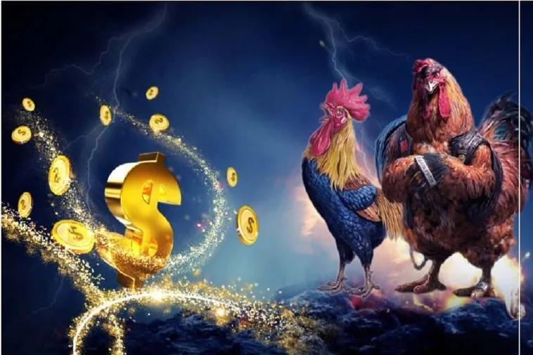 Tham Gia Đá Gà WS168 Tại 123WIN: Hướng Dẫn Chi Tiết
