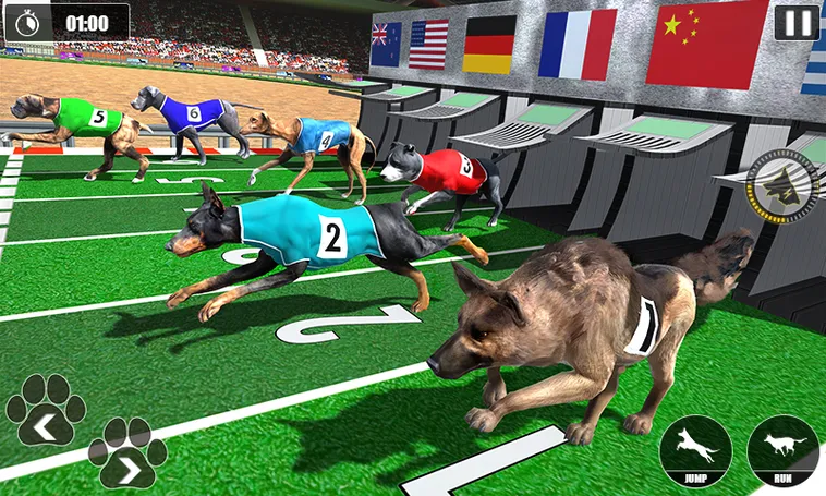 Bí Quyết Thắng Lớn Với Game Đua Chó Tại 123WIN